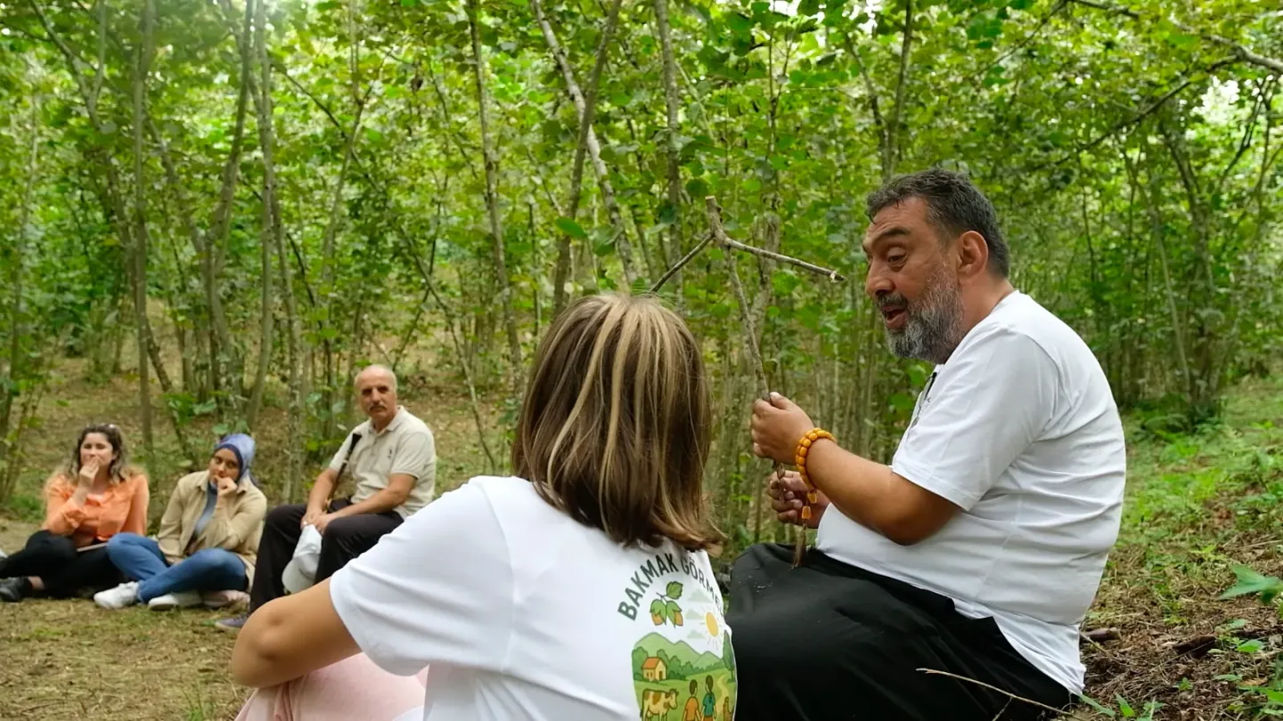 Ormanda anlatım molası